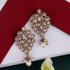 Flower Design Brown Uncut Kundan Stone Mother of Pearl Antique Gold Plated Dangle Earring
