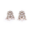 Saloni Fashion Jewellery Flower Design and Pearl Gold Plated Brass Drop Earring For Women - view 3