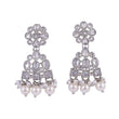 Saloni Fashion Jewellery Pretty Round and Leaf Shape Silver Plated Dangle Earring For Women and Girls - view 2
